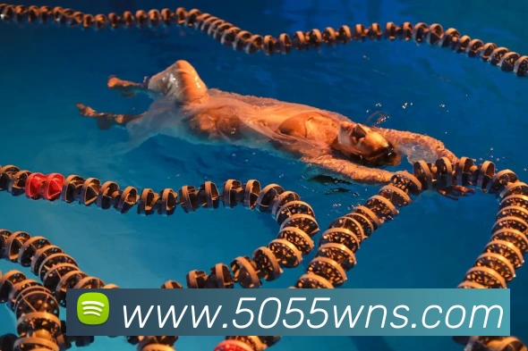 威尼斯人官方网站发展历程